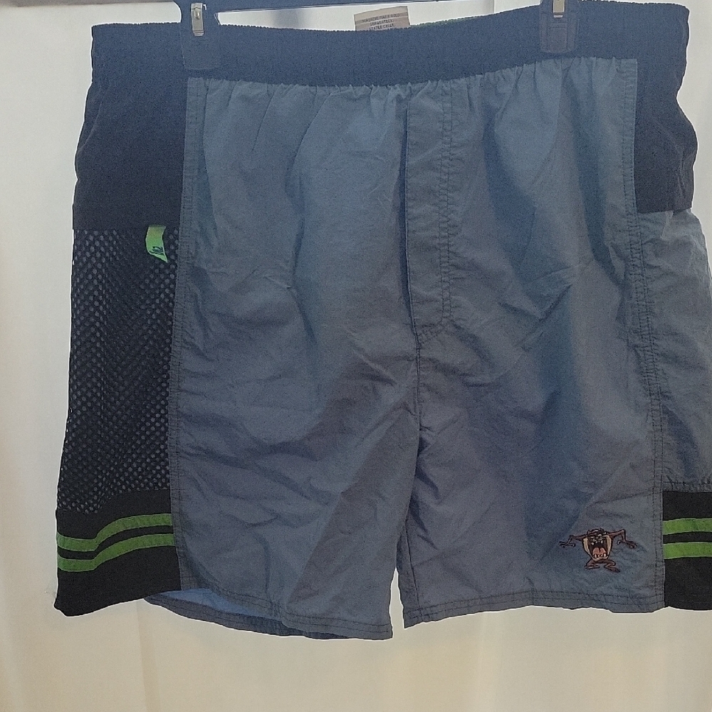 Warner Bros Blue and Black Swim Trunks Quick-Drying